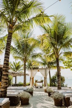 an outdoor wedding setup with white drapes and palm trees