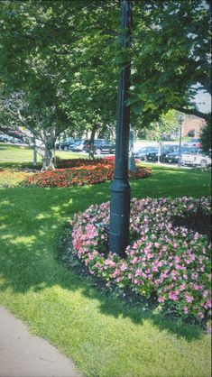 a lamp post in the middle of a flower bed