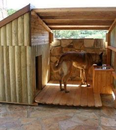 a dog standing in the doorway of a small wooden structure that is made out of wood planks