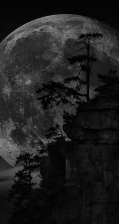 the full moon is seen behind some trees on a cliff face in black and white