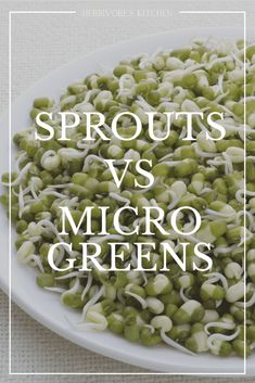 sprouts and micro greens on a plate with the words sprouts vs micro greens