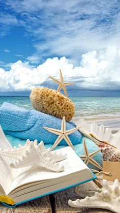 an open book sitting on top of a sandy beach next to starfish and seashells