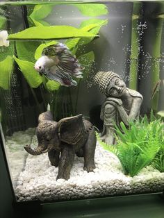 an aquarium with plants and statues in it