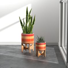 two potted plants sitting next to each other in front of a window on concrete floor