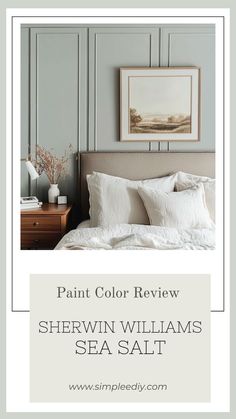 the paint color is shewn williams sea salt