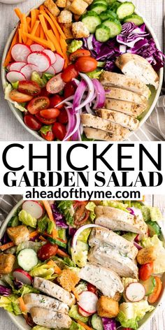 chicken garden salad with lettuce, carrots, radishes and cucumbers