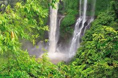 a waterfall surrounded by lush green trees and plants in the foreground, with water falling from it's sides