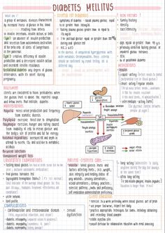 a diagram showing the different types of diabets and their functions in human body