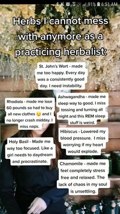 Medicine Garden, Medical Herbs, Natural Healing Remedies, Herbal Healing, Herbal Magic, Things To Do When Bored, Herbs For Health, Natural Health Remedies