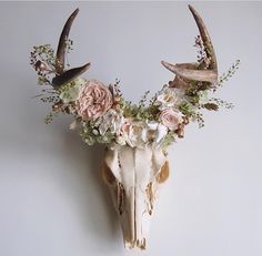 an animal skull with flowers and antlers on it's head against a white wall