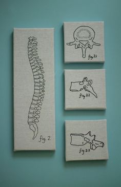 three handmade coasters with drawings of animals and bones on them, one has a horse's tail