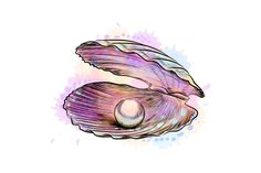 an open shell with a pearl in it