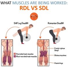 what muscles are being worked? rdl vs sdl is the most effective way to perform deadlifts