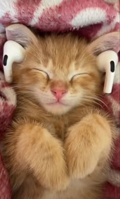 an orange and white kitten with eyes closed laying on a blanket covered in pink blankets