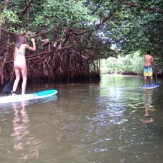 two people are standing on surfboards in the middle of a body of water with trees