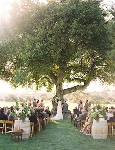 an outdoor ceremony under a large tree