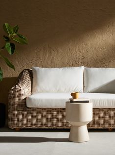 a wicker couch sitting next to a potted plant