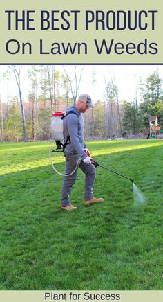 man spraying weeds in lawn with a backpack sprayer Lawn Weeds How To Get Rid, How To Get Rid Of Clover In Lawn, How To Kill Weeds Permanently, Killing Weeds In Lawn, Kill Weeds Not Grass, Crabgrass Removal, Weeds In Garden, Common Lawn Weeds