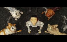 an overhead view of several toy animals and a man's head in the middle