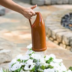 a person is pouring water into a flower pot with white flowers in the foreground