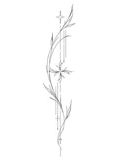 a line drawing of a flower on a white background with lines in the bottom half