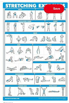 an exercise poster with instructions for stretching exercises