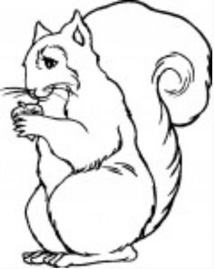 a black and white drawing of a squirrel sitting on its hind legs with his paws crossed