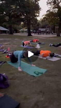 a group of people are doing yoga in the park on their stomachs and arms