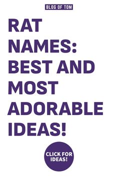 the text rat names best and most adorable ideas is shown in purple on a white background