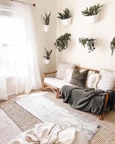 a living room filled with lots of plants on the wall and hanging from the ceiling