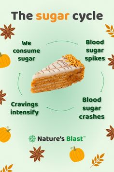 Learn about the Sugar Cycle and how it might affect the body. - Sugar's addictive nature could make us want more. - It might cause a spike in glucose levels, triggering dopamine and insulin release. - Insulin can lead to fat storage and more cravings. - Low blood sugar often leads to more hunger and cravings.  Take control by understanding this cycle!  Choose balanced meals to keep blood sugar steady. Save this for your healthy eating journey.  #naturesblast #healing #wellness #selfcare #wellnessupplements #glucoselevel #sugarcravings Wellness Selfcare, Blood Sugar Management, Low Blood Sugar, Sugar Detox, Glucose Levels, Balanced Meals, Health Knowledge, Sugar Cravings, Self Care Activities