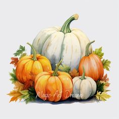 a watercolor painting of pumpkins and leaves