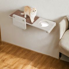 an orange and white cat sitting on top of a shelf