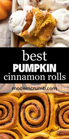 pumpkin cinnamon rolls. Low Carb Pumpkin Cinnamon Rolls, Pioneer Woman Pumpkin Cinnamon Rolls, Pumpkin Cinnamon Rolls Bread Machine, Giant Pumpkin Cinnamon Rolls, Bread Machine Pumpkin Cinnamon Rolls, Pumpkin Cinammon Rolls Recipes, Pumpkin Cinamonroll, Overnight Pumpkin Cinnamon Rolls, Thick Cream Cheese Frosting