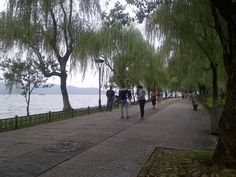 people are walking down the sidewalk by the water on a cloudy day with willow trees in the foreground