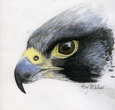 a drawing of an eagle's head with yellow eyes