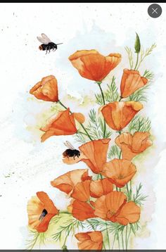 watercolor painting of orange flowers and a bee