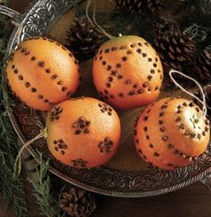 three oranges are sitting on a plate with pine cones and needles in the background