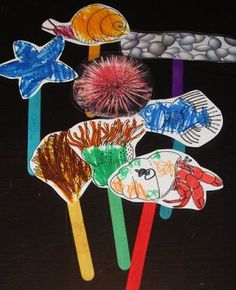 four paper fish on sticks with colored pencils in the shape of seashells