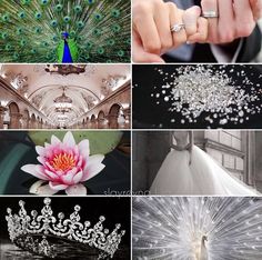 many different pictures with peacocks and tiaras on them, including the bride's wedding dress