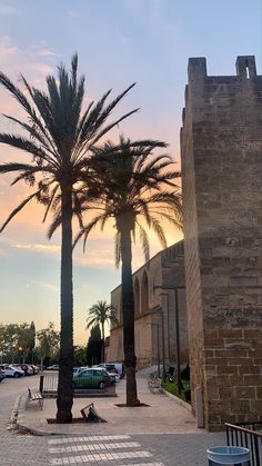 two palm trees in front of a brick building with cars parked on the street behind them