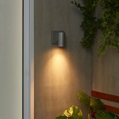 a light that is on the side of a wall next to a potted plant