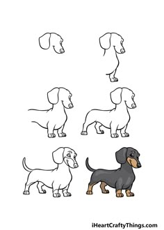 four different types of dachshunds are shown in this drawing lesson for kids