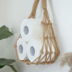 three rolls of toilet paper hanging from a rope on the wall next to a potted plant