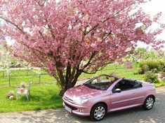 a pink car parked in front of a tree with flowers on it's branches