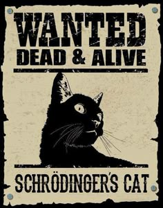 a black cat with the words wanted dead and alive