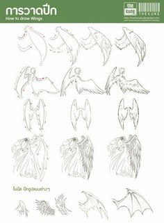 an image of different types of wings in the form of birds and bats on a white background