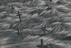 many crosses are in the grass near each other