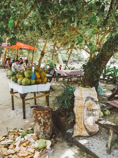 there are many coconuts on display under the trees