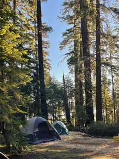 a tent is pitched up in the woods